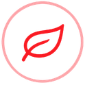 Icon Tech 2
